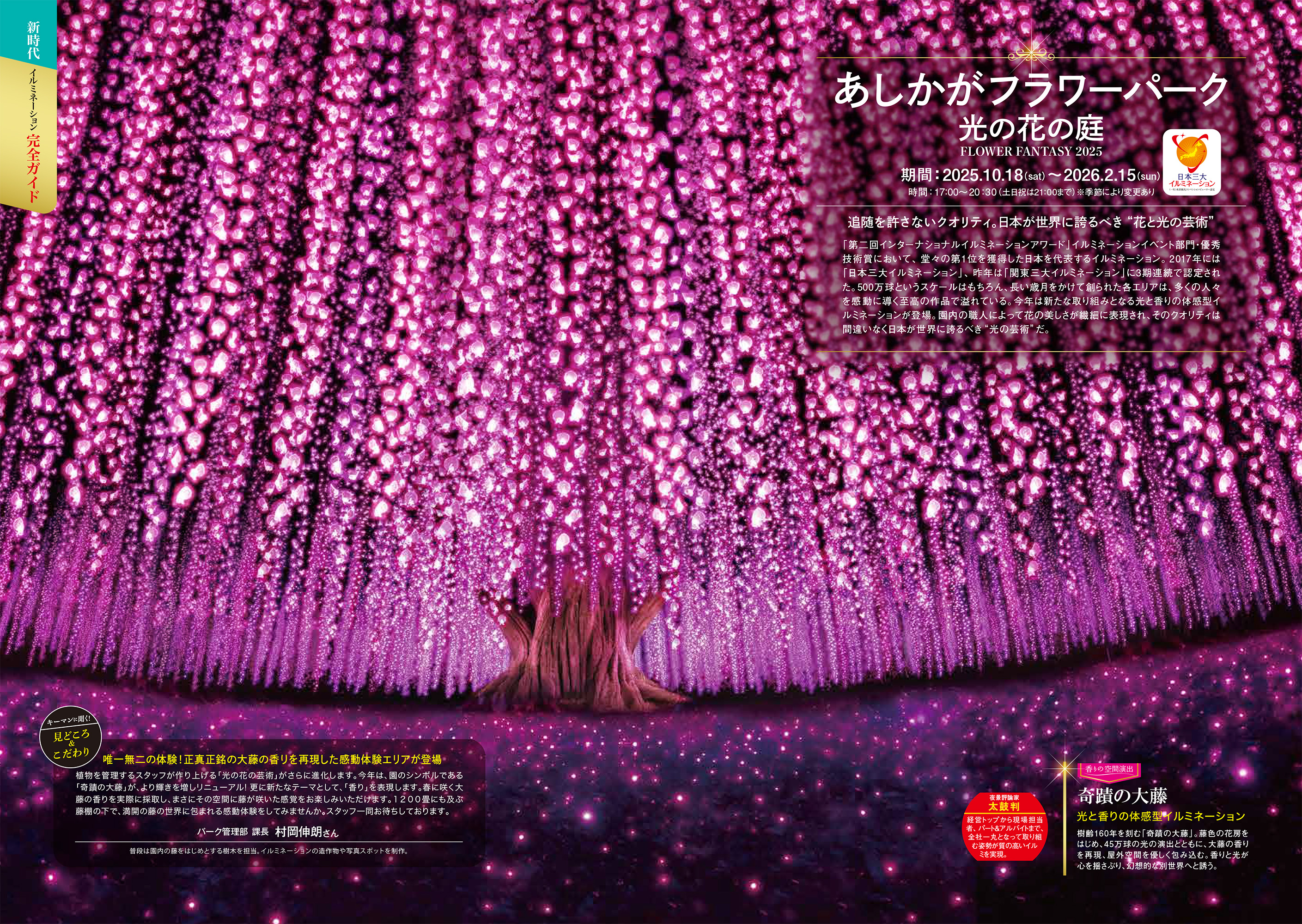 イルミネーション ナイトエンタテインメント2026